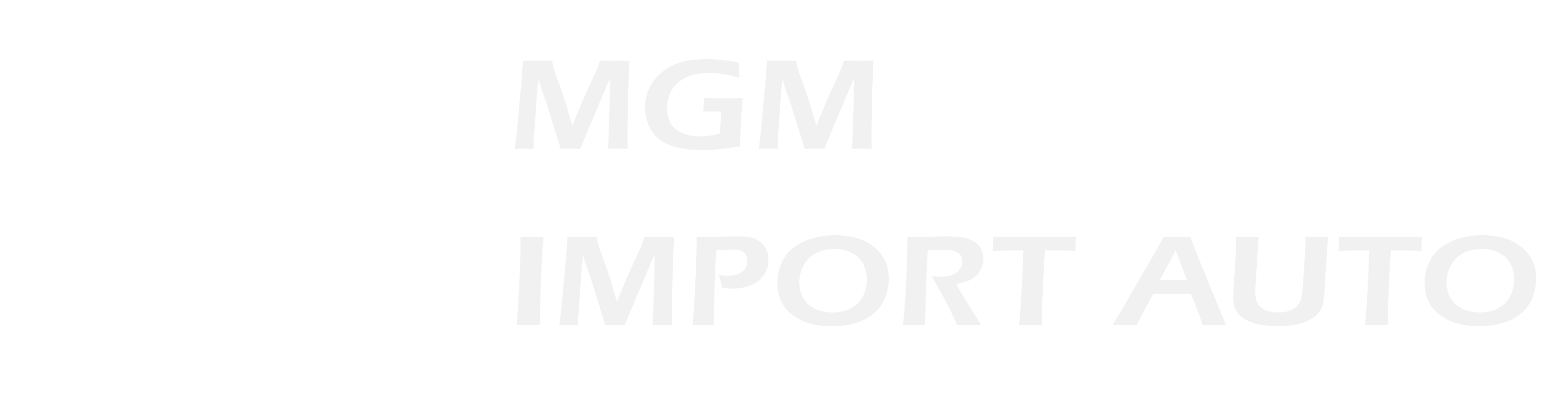 MGM Import Auto